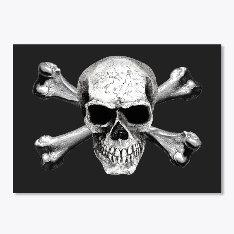 Skull Bones Collection - Miscellany